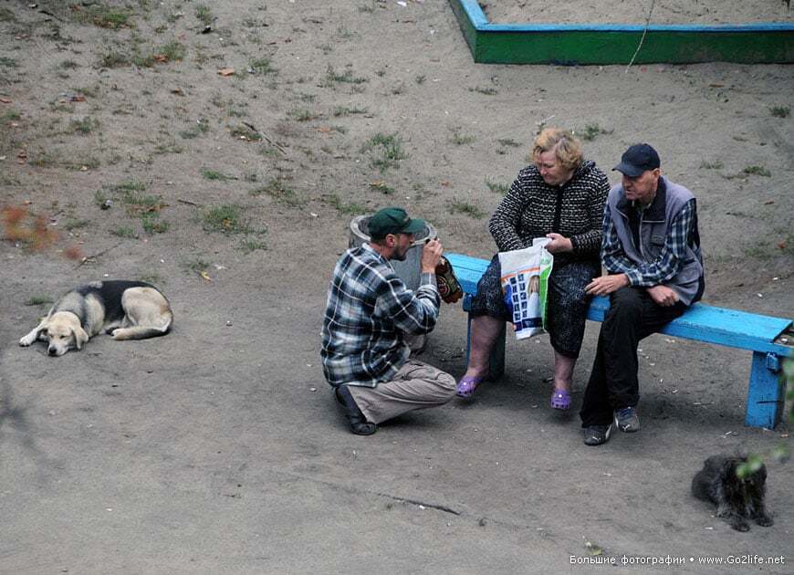 Киевский фотограф 5 лет снимал лавочку под окном: 25 неожиданных фото из жизни двора