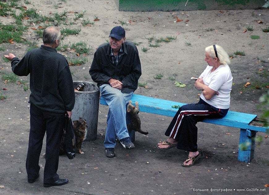 Киевский фотограф 5 лет снимал лавочку под окном: 25 неожиданных фото из жизни двора