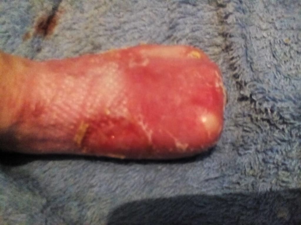 Волонтеры бьют тревогу: малышам нужна помощь