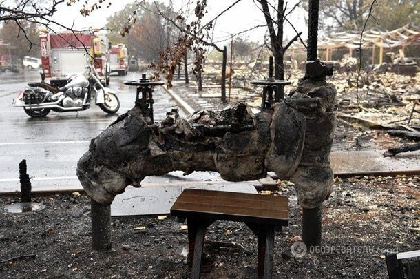 Калифорния в огне: сгорела тысяча домов, погибли 5 человек. Фоторепортаж