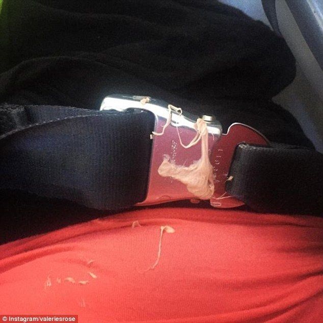 Свиньи в самолете: снимки самых отвратительных пассажиров