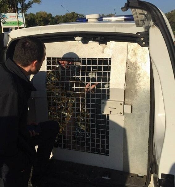 В Киеве задержали преступника, который заскочил в Днепр с гранатой