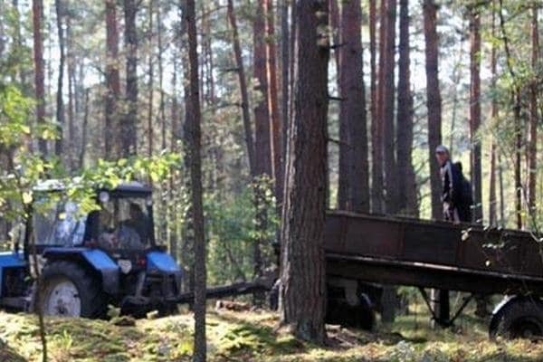 Бурштинові війни на Волині: опубліковані фото і відео з місця конфлікту 