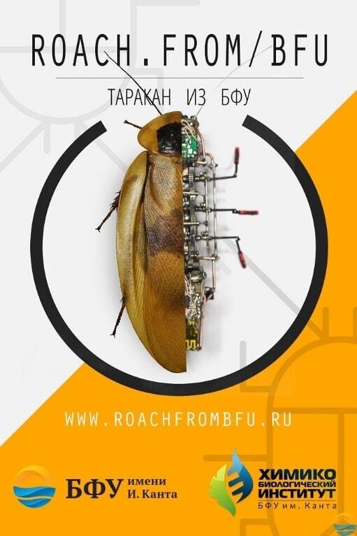 Готовим "роботапок": Россия похвасталась военным роботом-тараканом. Фото "насекомого"