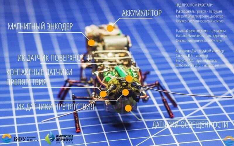 Готовим "роботапок": Россия похвасталась военным роботом-тараканом. Фото "насекомого"