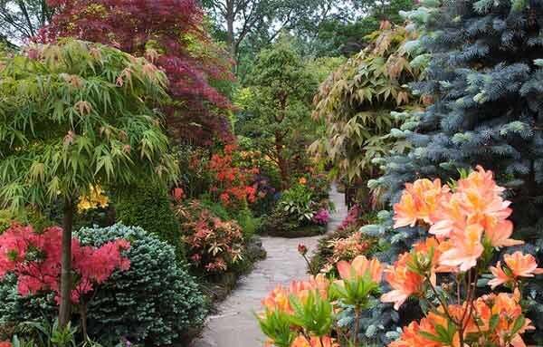 Какие растения покупают депутаты