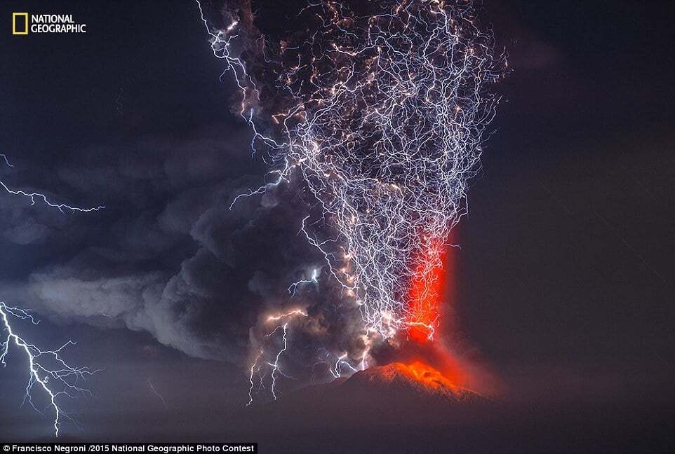 Жизнь во всей красе: National Geographic опубликовал лучшие фото за 2015 год