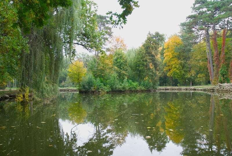 Приголомшлива краса осені в заповіднику Асканія-Нова