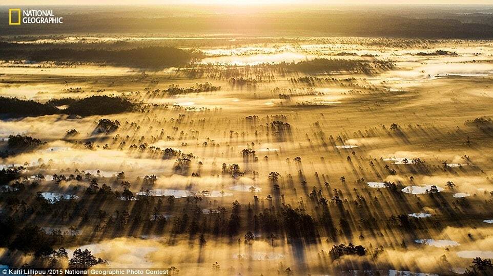 National Geographic опублікував найкращі фото за 2015