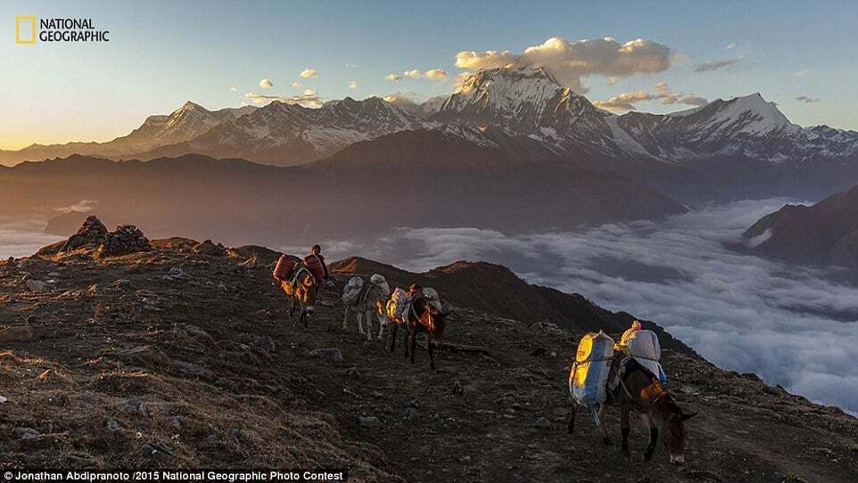 National Geographic опублікував найкращі фото за 2015