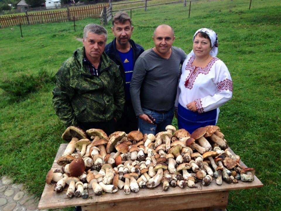 Соцмережі підірвали величезні гриби в Карпатах