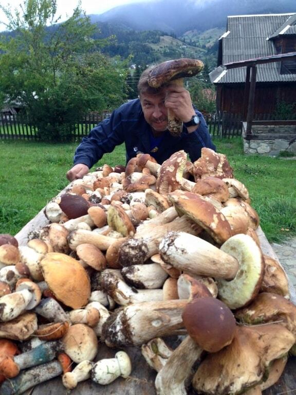 Соцсети взорвали огромные грибы в Карпатах