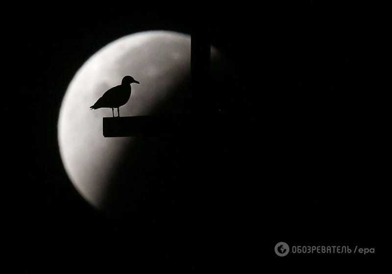 Як "кривавий Місяць" прикрасив види на світові пам'ятки: приголомшливі фото