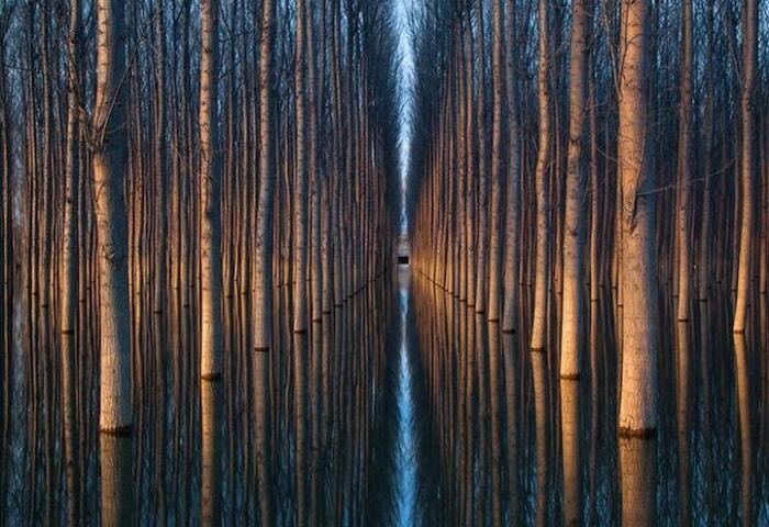 Симметрия природы: потрясающие фото зеркальных пейзажей