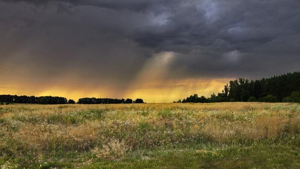 25 незабываемых пейзажей прошедшего украинского лета: красочные фото