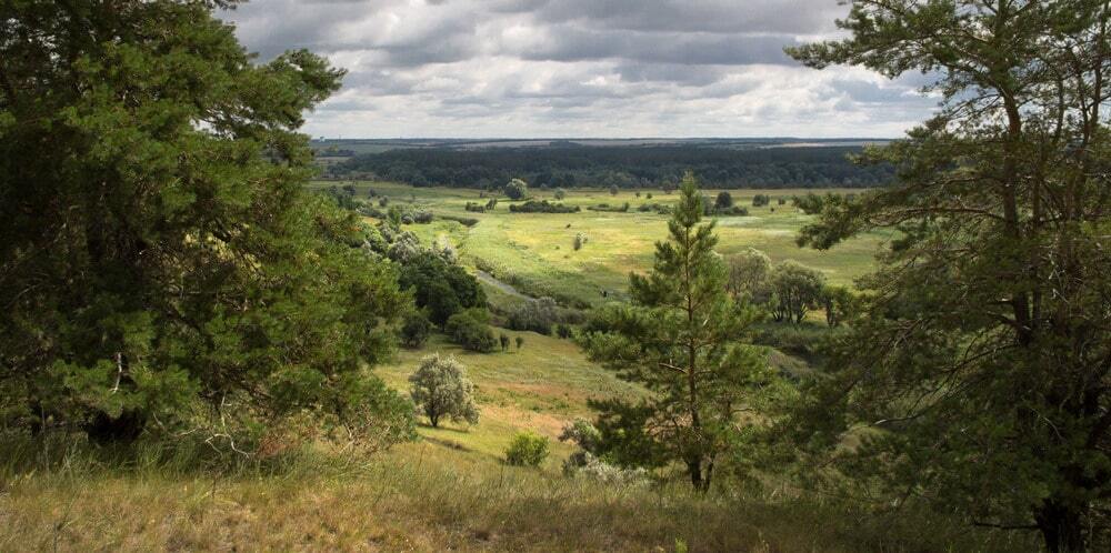 25 незабываемых пейзажей прошедшего украинского лета: красочные фото