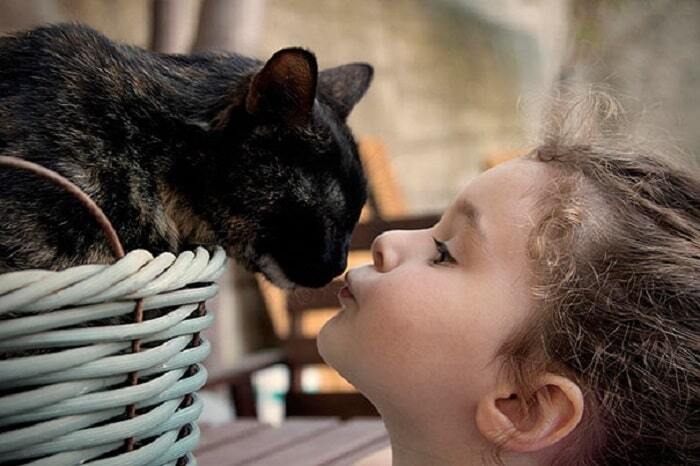 23 добрейшие фотографии детей с кошками, которые заставят улыбнуться каждого