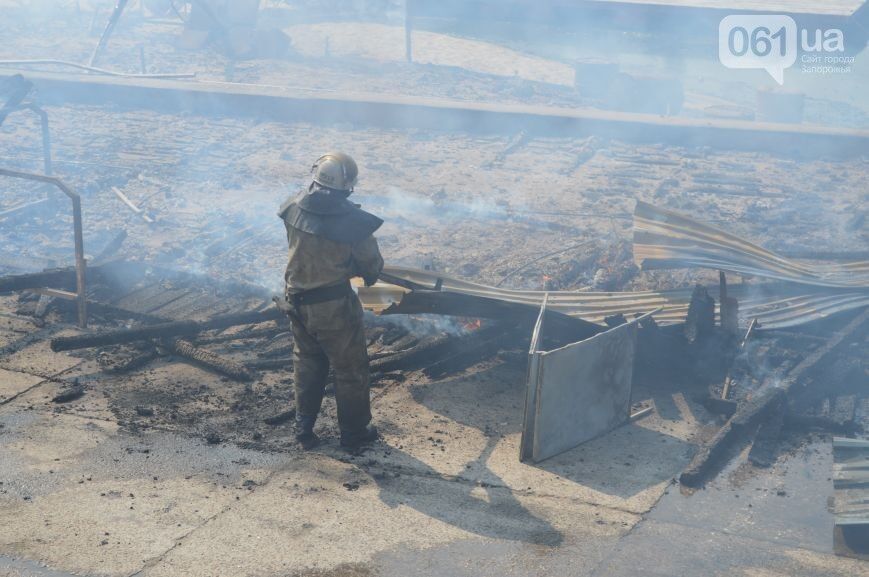 В Запорожье в считанные минуты дотла сгорело кафе: опубликовано фото и видео