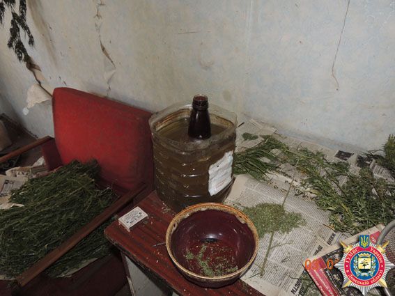 На Донбассе ликвидировали "ферму" с 500 кустами конопли: фотофакт