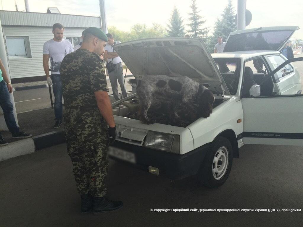 Не пустили наркотик в Росію: собака-прикордонник пронюхала 12 кг марихуани в автомобілі. Фоторепортаж