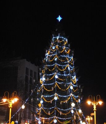 Как празднуют Новый год в Украине: елки во всех уголках страны