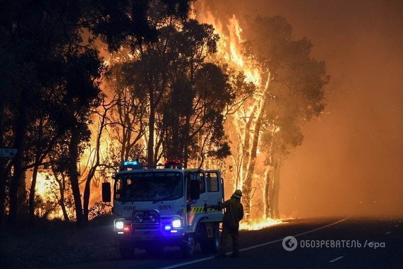В Австралии бушуют лесные пожары: есть жертвы, людей массово эвакуируют