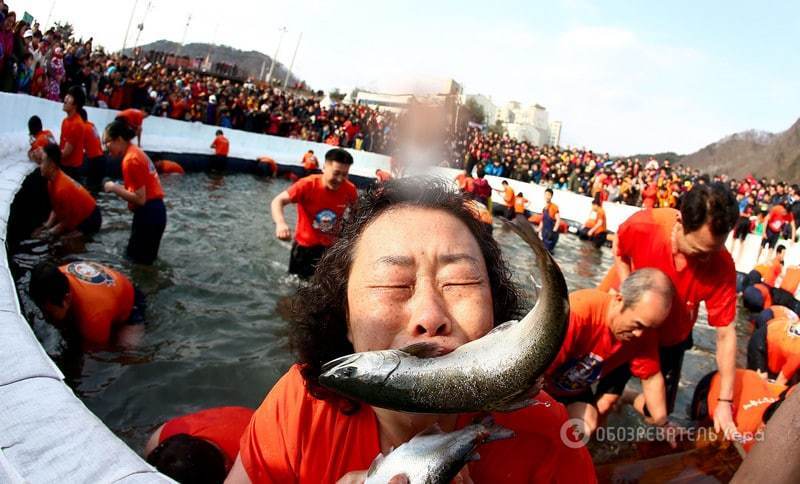 Крижане божевілля. У Південній Кореї форель ловлять голими руками: фоторепортаж