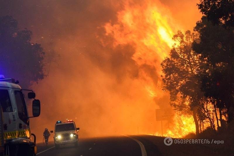 В Австралії вирують лісові пожежі: є жертви, людей масово евакуюють