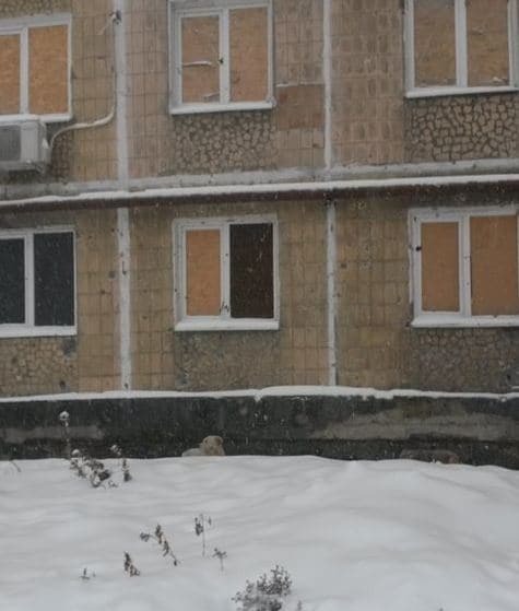 Дома без крыш и ледяные квартиры: как выживают люди в разгромленном донецком поселке. Фоторепортаж