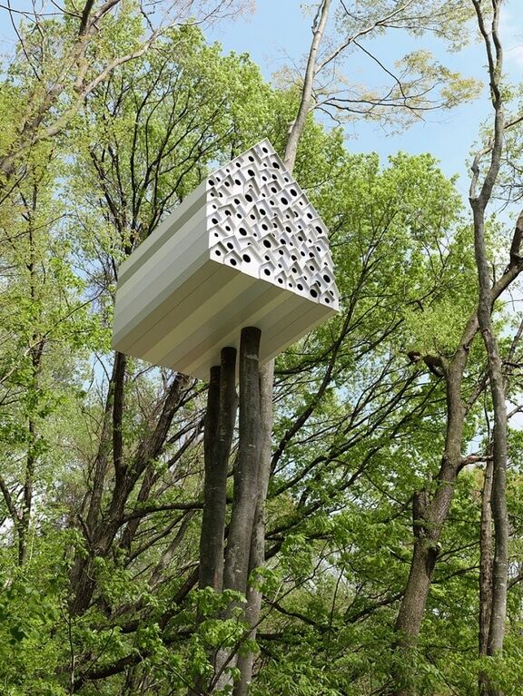 Домики на деревьях: фото уютных сооружений в разных странах мира