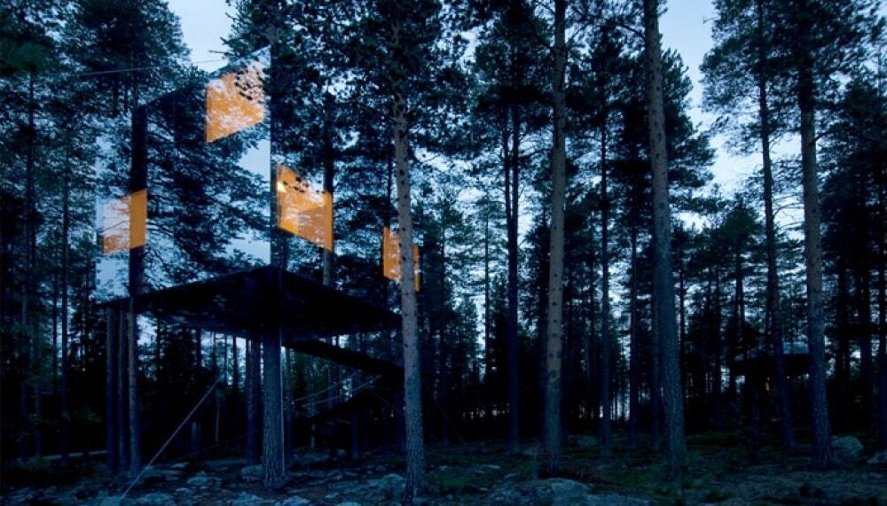 Домики на деревьях: фото уютных сооружений в разных странах мира