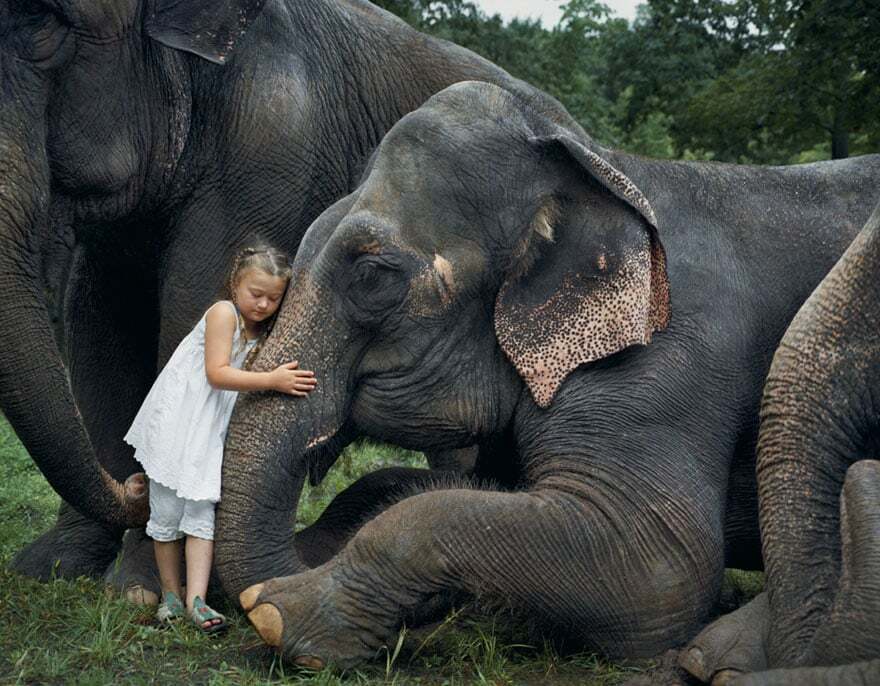 Мама запечатлела невероятную любовь дочери к животным: удивительные фото