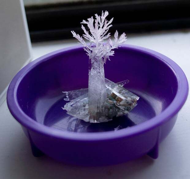 Чудеса науки: как вырастить кристалл дома