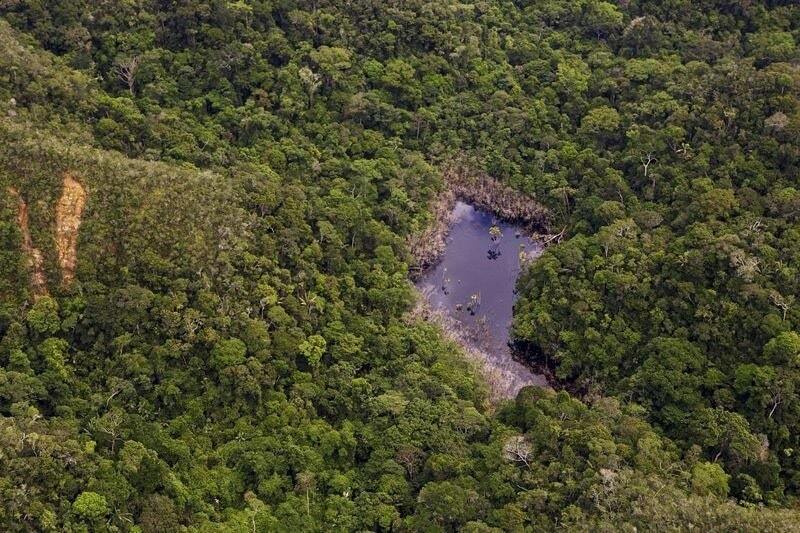 На Земле появился самый молодой заповедник: опубликованы яркие фото