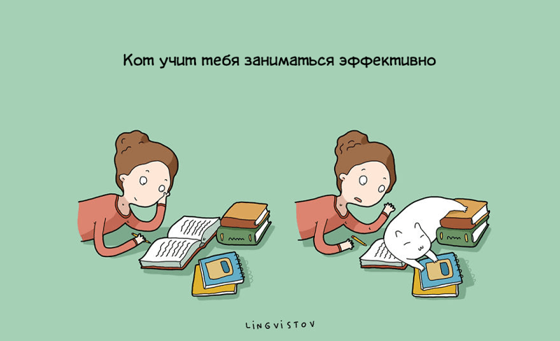 Всі переваги життя з котом у веселих картинках