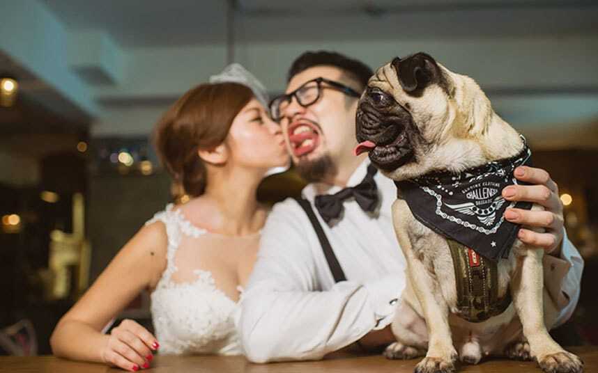 Щастя молодим: опубліковано смішні весільні фото з усього світу