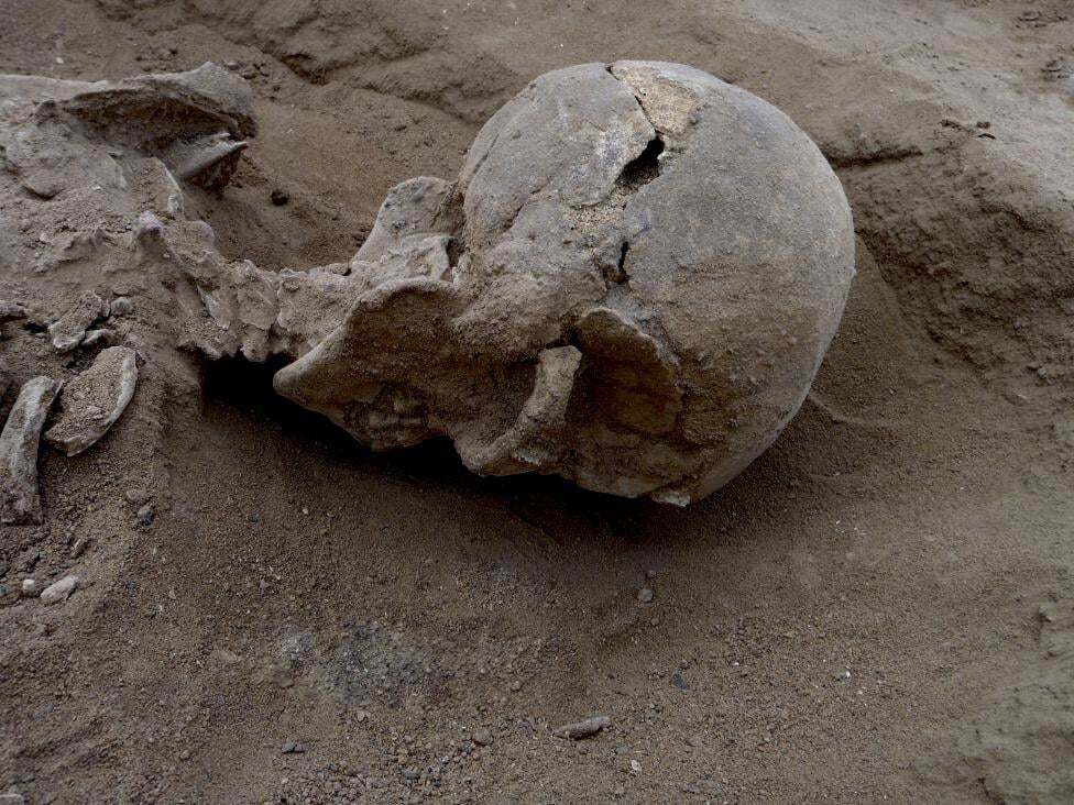 Ученые нашли следы самой древней битвы в истории мира: фотофакт