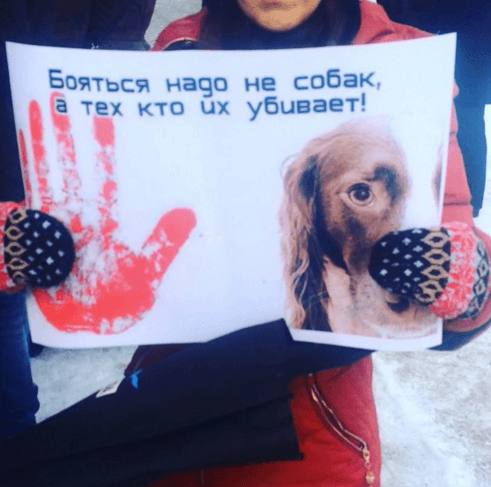 "Бояться надо не собак": в оккупированном Донецке вышли на протест