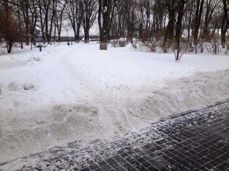 В киевском парке "оригинально" убрали снег: опубликованы фото