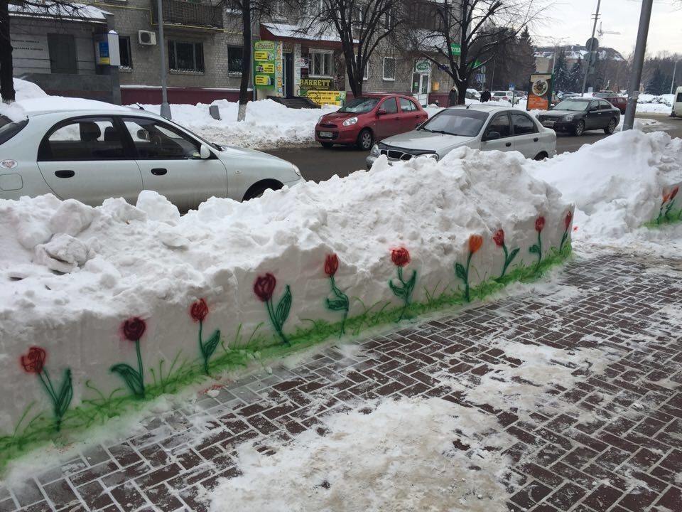 Цветы на снегу: в Кременчуге посреди зимы "распустились" тюльпаны. Фотофакт