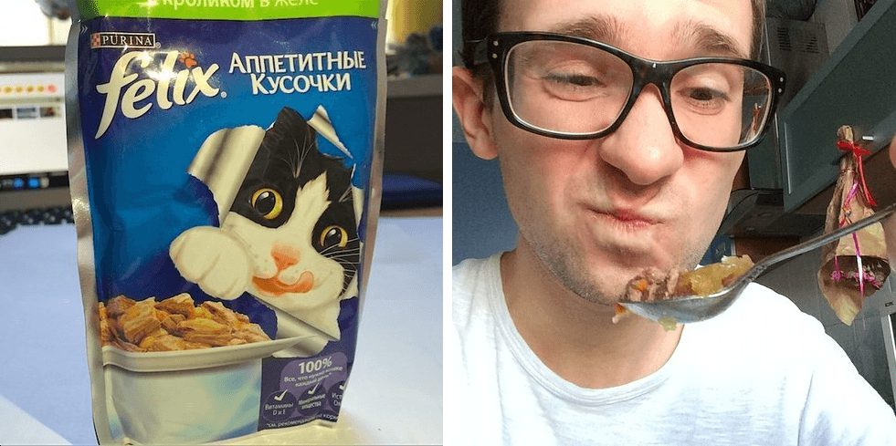 Слабоумие и отвага: парень попробовал на вкус 12 кошачьих кормов