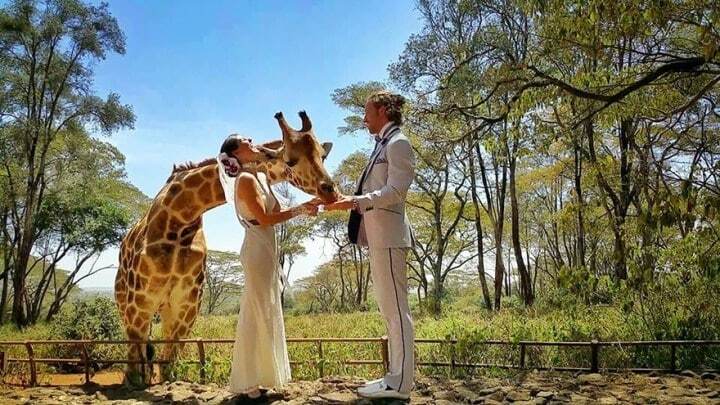 Пара акробатів зіграла весілля в 38 місцях світу: захоплюючі дух фото