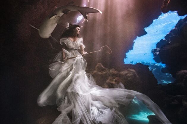 Дівчина й акули: неймовірна фотосесія підкорила інтернет