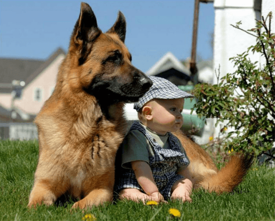 Кращий друг: неймовірно зворушливі фото дітей з собаками