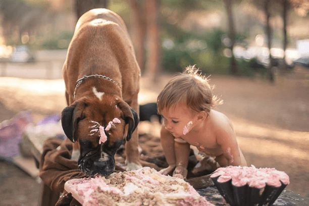 Лучший друг: невероятно трогательная фотоподборка детей с собаками