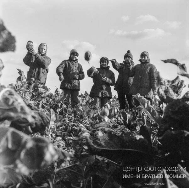 Картопля замість книг: опубліковані фото з життя студентів в СРСР