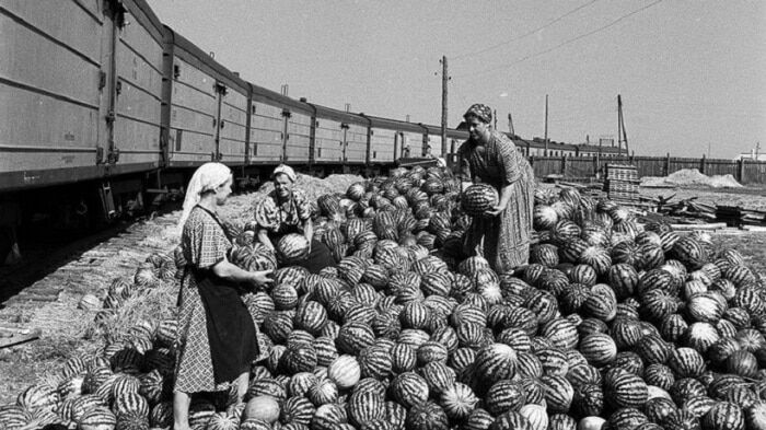 Герої п'ятирічки: опубліковані архівні фото головних трудівників СРСР