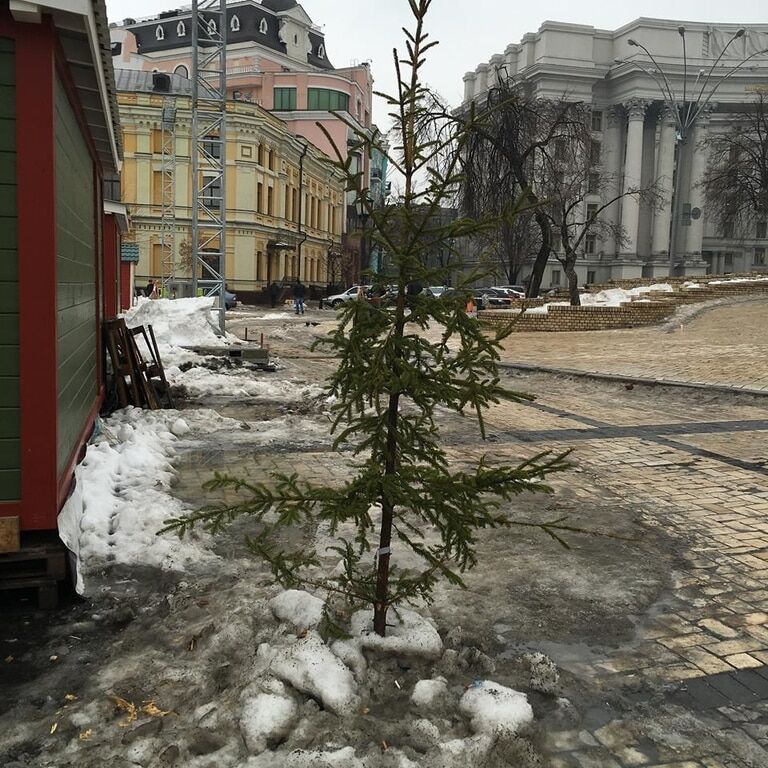 В центре Киева после празднования Нового года остались кучи мусора: фотофакт