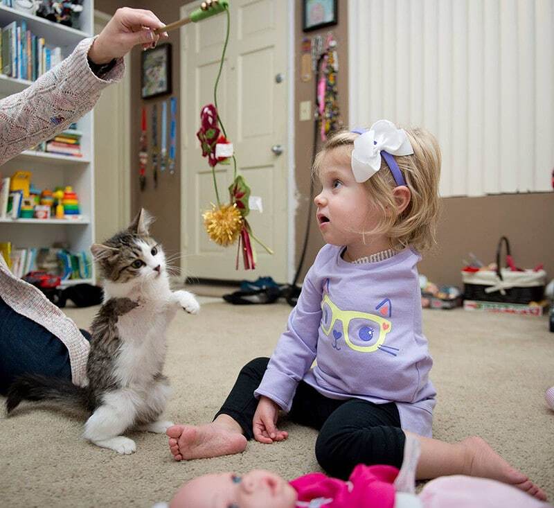 Это судьба! Девочке с ампутированной рукой подарили особенного котенка: фото и видеофакт