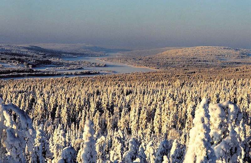 Сказочная Лапландия: захватывающие дух фото царства Санта-Клауса